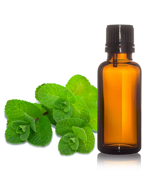 Peppermint Oil IP/BP/USP